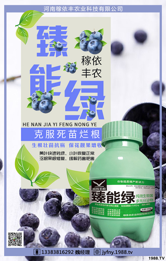 冬季大棚蔬菜如何應(yīng)對(duì)天氣變化,冬季大棚蔬菜管理要點(diǎn)!