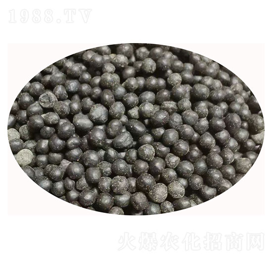 復合微生物肥料顆粒-蚯蚓蛋白酶-佰潤肥業(yè)