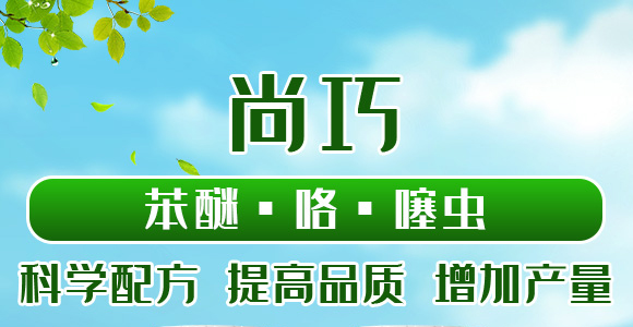 22%ѡx(chng)--(gu)˸_01