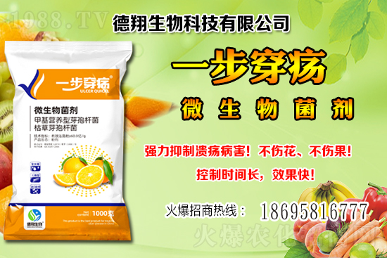 國產(chǎn)大豆價格穩(wěn)中有跌!2020-12-21黑龍江及部分地區(qū)大豆行情!