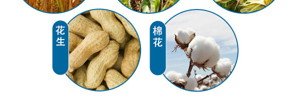 美果膨果型有機水溶肥料-一畫農業(yè)_09