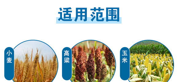 美果膨果型有機水溶肥料-一畫農業(yè)_08