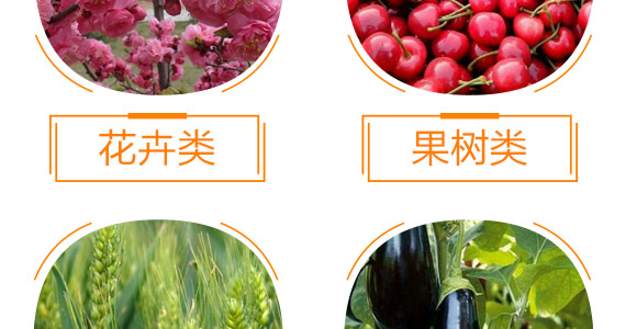 有機水溶肥料-多肽氮肥-一畫農業(yè)_10