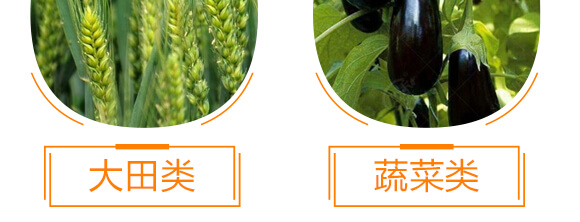 有機水溶肥料-多肽氮肥-一畫農業(yè)_11
