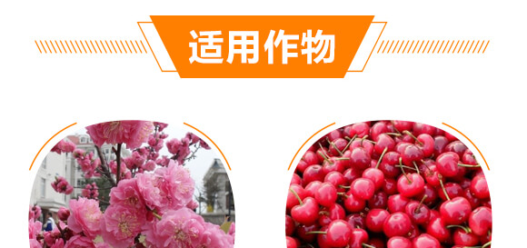 有機水溶肥料-多肽氮肥-一畫農業(yè)_09