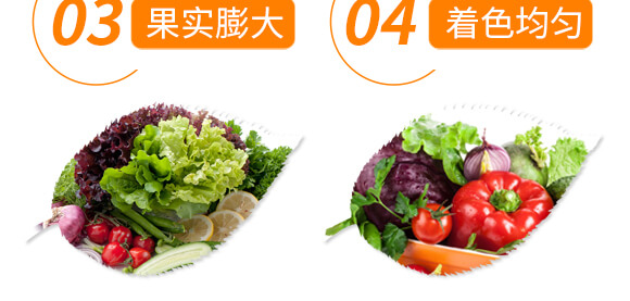 有機水溶肥料-多肽氮肥-一畫農業(yè)_07