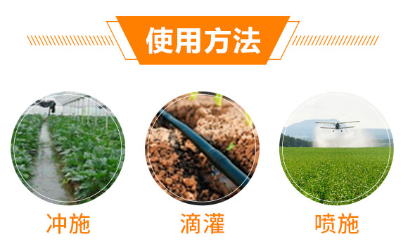 有機水溶肥料-多肽氮肥-一畫農業(yè)_08