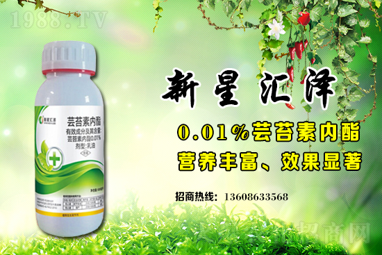 蕓苔素內脂