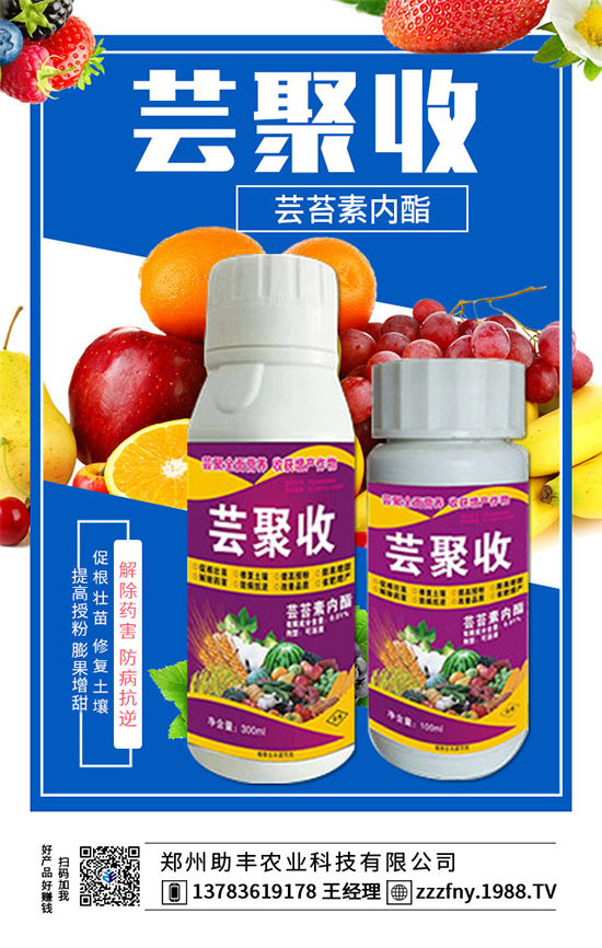 火爆農化網再簽鄭州助豐農業(yè),促進戰(zhàn)略合作再升級!