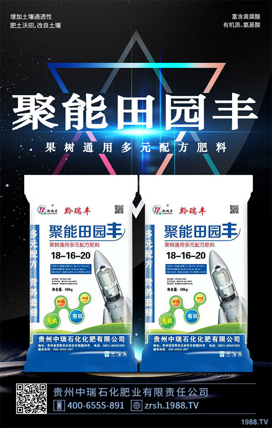 雷丸又稱竹鈴芝、雷實(shí)、竹苓、竹兜菌,是一種常用的藥用菌,與茯苓、豬苓并列為“三苓”。具有殺蟲消積的功效,常用于絳蟲、鉤蟲、蛔蟲、蟲積、小兒疳積等病癥。現(xiàn)今市場(chǎng)雷丸供藥多以野生為主,而人工目前少有栽培;雷丸種植對(duì)環(huán)境要求比較苛刻,喜溫暖氣候地區(qū),以林中潮濕潤(rùn)地為宜,但田間管理簡(jiǎn)易,只需注意溫度和干旱就行。那么,雷丸該怎么種?雷丸的種植方法及田間管理要點(diǎn)有哪些呢?