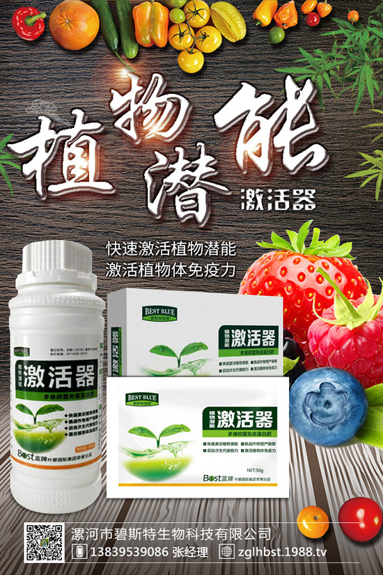 天麻怎么種成活率高?天麻什么時候種植更好?