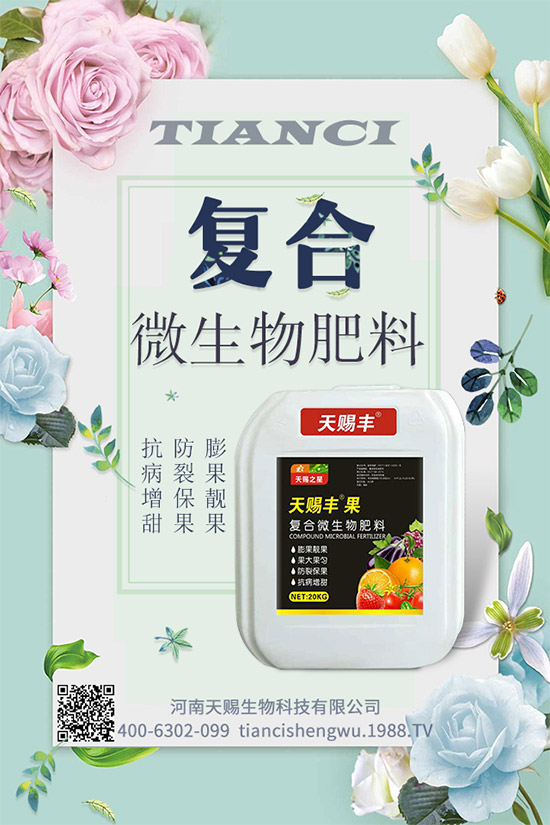南瓜種植如何提高座果率?南瓜增產增收五大方法