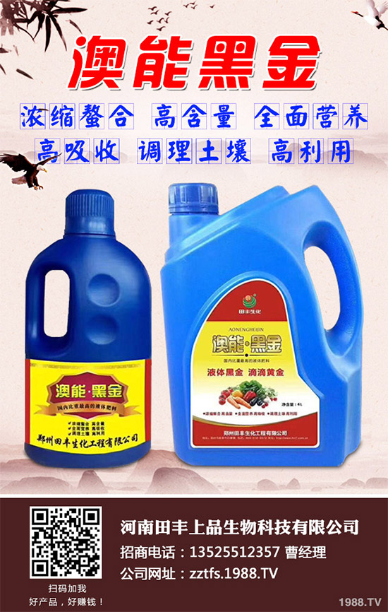 南瓜種植如何提高座果率?南瓜增產增收五大方法
