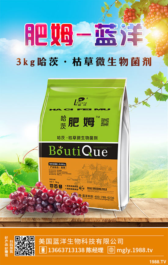 花椒樹(shù)該如何種植?三步幫你輕松種出高產(chǎn)花椒!