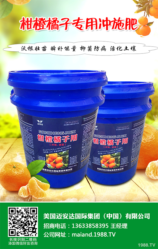 花椒樹(shù)該如何種植?三步幫你輕松種出高產(chǎn)花椒!