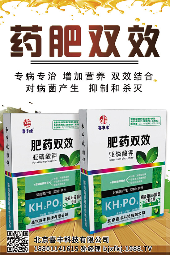 西蘭花施肥管理技術有哪些,這些一定要看!