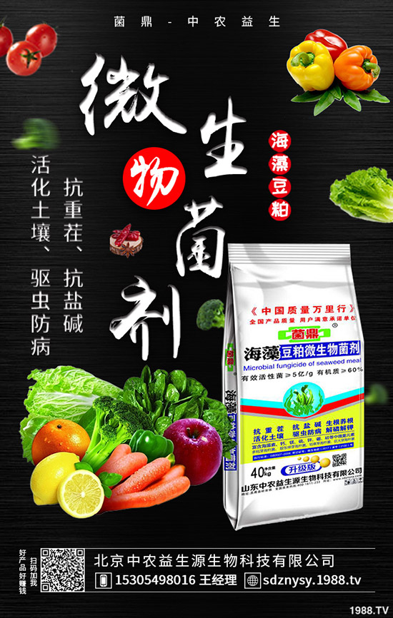 春季用肥基本結(jié)束,最新鉀肥價格走勢預測2020-4-13