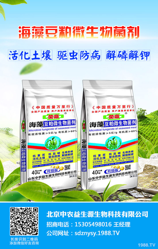 2020-4-13目前國內(nèi)市場復(fù)合肥價格平淡!最新企業(yè)報價一覽!