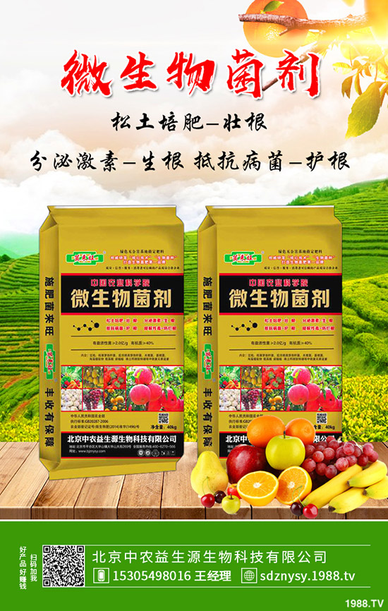 復合肥市場報價小幅下跌試探!最新復合肥價格行情分析2020-4-15!
