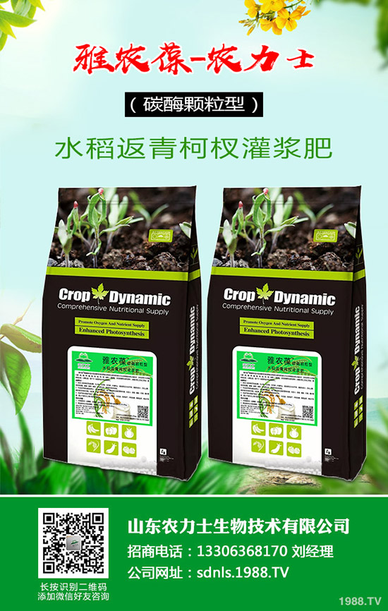 國內(nèi)尿素價格小幅探漲!最新尿素行情走勢綜合預測2020-4-16