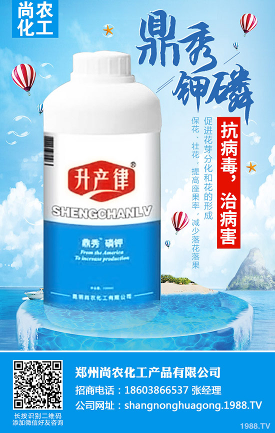 甘藍不結(jié)球怎么辦,甘藍不結(jié)球原因及防治措施!