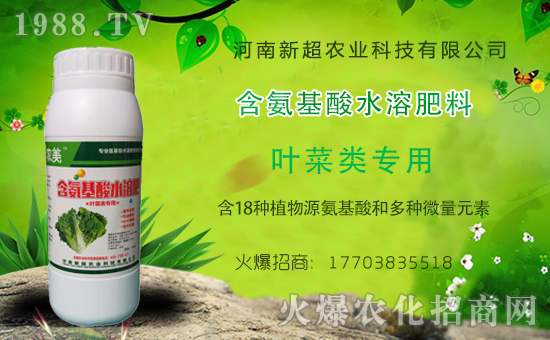1988.TV喜迎新盟友,河南新超開(kāi)啟網(wǎng)絡(luò)招商新征程!