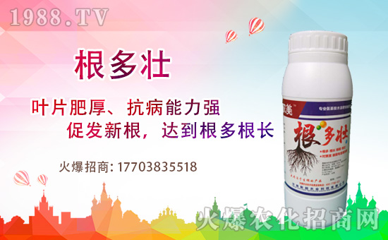 1988.TV喜迎新盟友,河南新超開(kāi)啟網(wǎng)絡(luò)招商新征程!