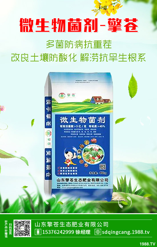 2020-4-23近期二銨市場(chǎng)需求一般!最新磷酸二銨行情走勢(shì)預(yù)測(cè)!