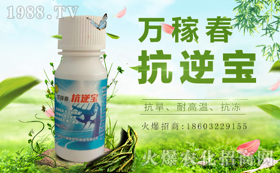 f(wn)ڴ(qing)(sh)vr(nng)̾W(wng)(sh)F(xin)I(y)°l(f)չ