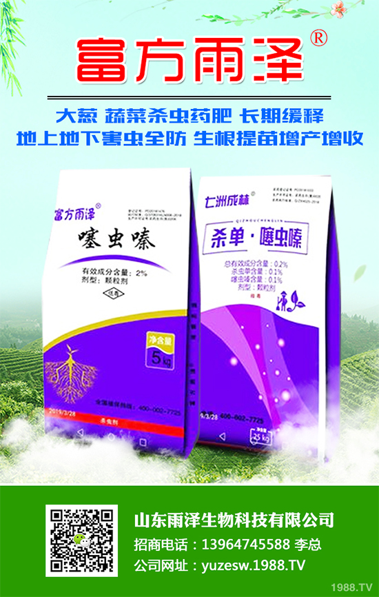 秋葵什么時(shí)間種植?秋葵種植生長(zhǎng)環(huán)境及整枝技術(shù)!