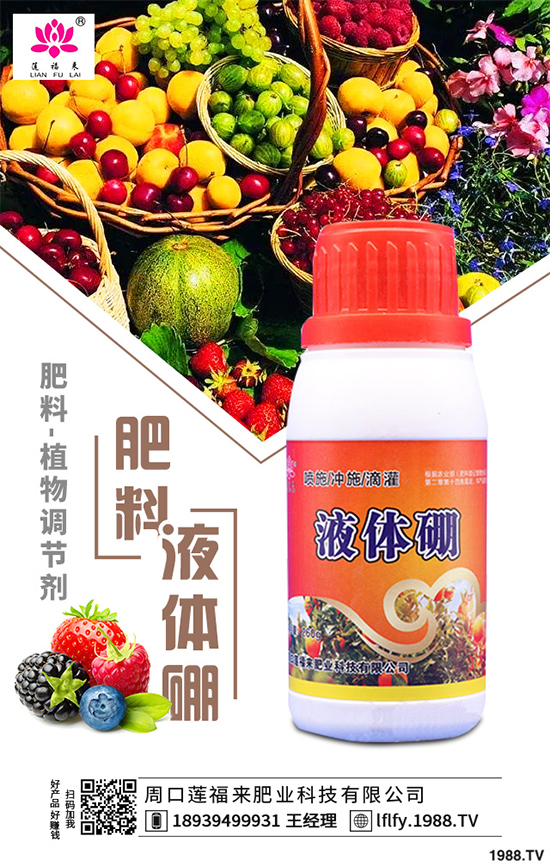 皂莢樹(shù)有哪些用途?該如何栽培?皂莢樹(shù)的栽培管理技術(shù)