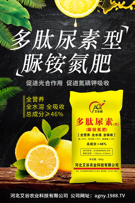 ļNֲҪc(din)ļ缼g(sh)ڹ