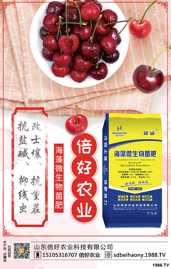 夏季用肥開始啟動!2020年5月11日最新復(fù)合肥價格行情早報(bào)!