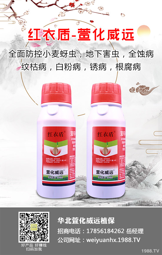 金花葵又叫菜芙蓉、野芙蓉等等,是一種集藥用、食用為一體,有著清熱涼血、鎮(zhèn)痛等各種功效的草本植物。主要用于水腫、等,其營養(yǎng)價值也是非常豐富的,在我國非常受歡迎。那么,金花葵該如何栽培呢?金花葵高產栽培技術有哪些?
