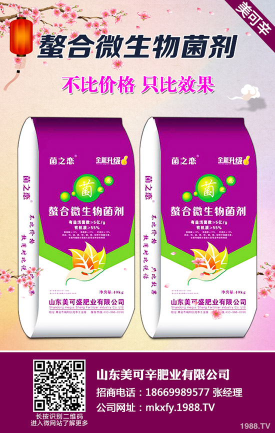 夏天葡萄樹(shù)如何管理?葡萄樹(shù)修剪、肥水管理和病蟲(chóng)害防治三大管理技術(shù)!
