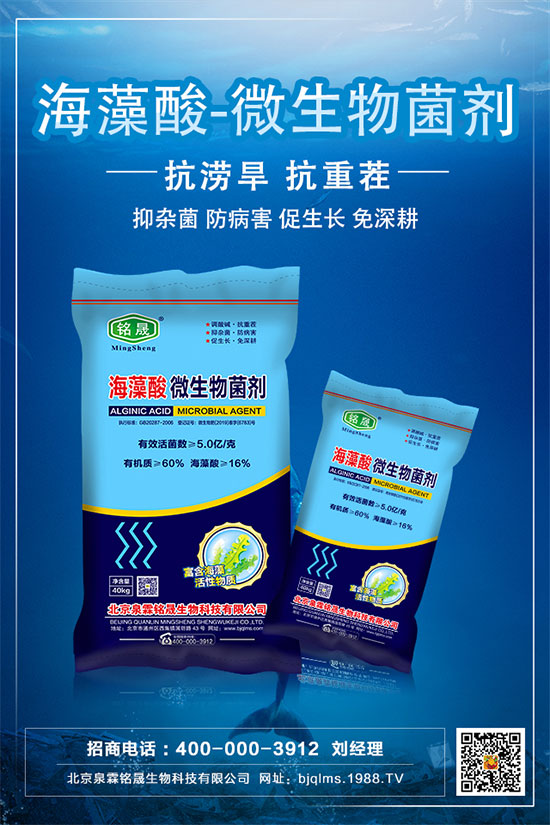 板栗只開花不結果是什么原因?板栗不掛果的解決措施!