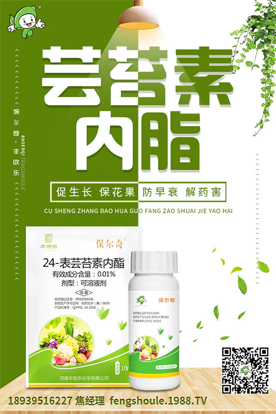 草珊瑚該怎么種植?如何種植能高產?草珊瑚高產種植技術