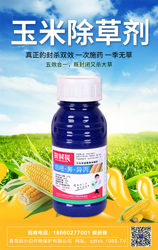 玉米種子拌種有什么作用?玉米苗期管理要點!