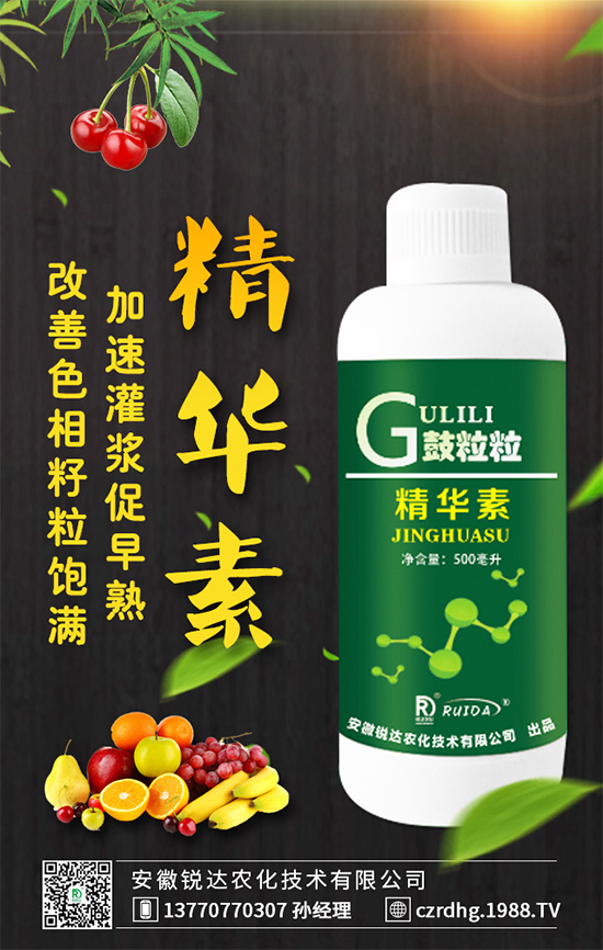 紅心火龍果和白心火龍果哪個(gè)好?區(qū)別有哪些?營(yíng)養(yǎng)誰更高?