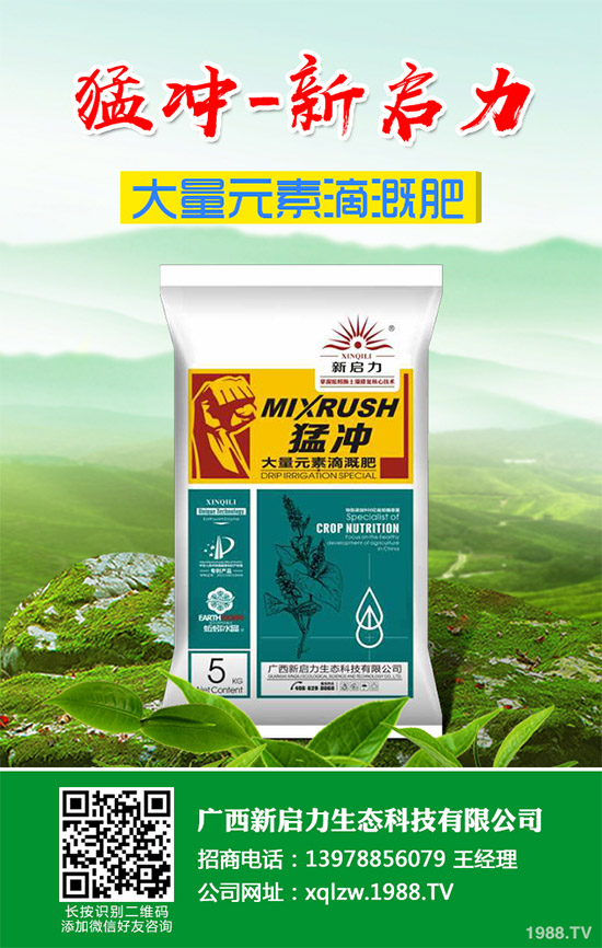 復(fù)合肥價格行情日報