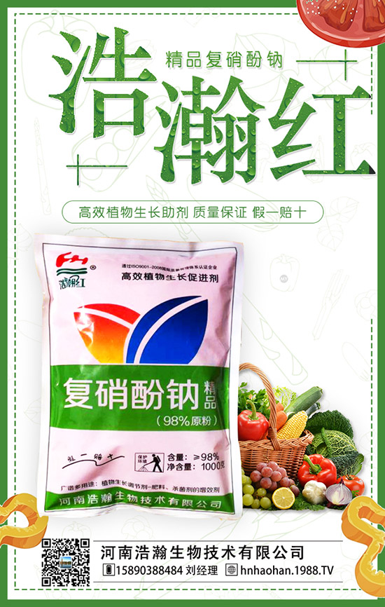 番茄什么時間種植,番茄種植技術及管理要點!