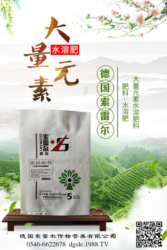 格桑花什么時間種植?格;ㄔ耘嘁c!
