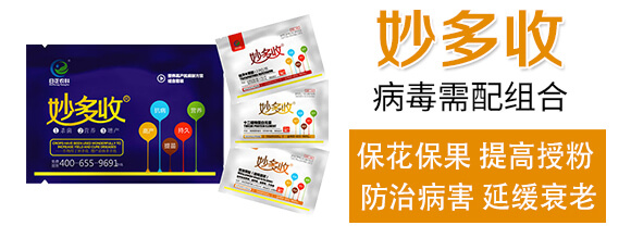 枯黃需配組合-妙多收-日正農(nóng)科_02