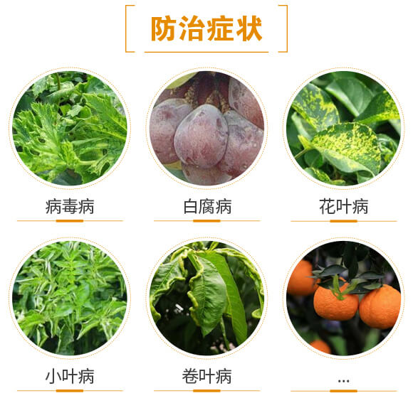 枯黃需配組合-妙多收-日正農(nóng)科_04