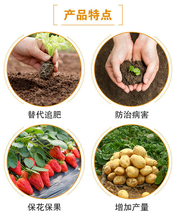 枯黃需配組合-妙多收-日正農(nóng)科_03