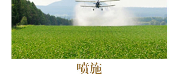 ˎ߮(dng)w(zhun)-ֲˮܷ-r(nng)_12