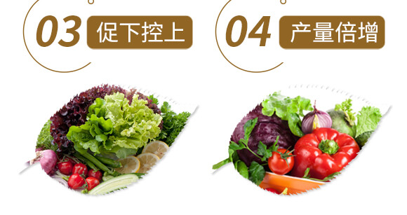 ˎ߮(dng)w(zhun)-ֲˮܷ-r(nng)_07