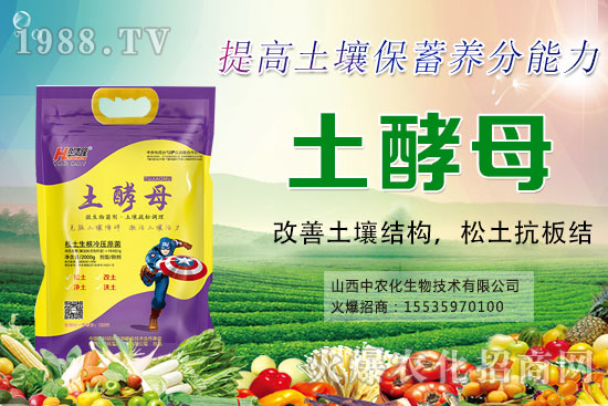 葡萄套袋有哪些好處,葡萄套袋技術(shù)要點及注意事項!