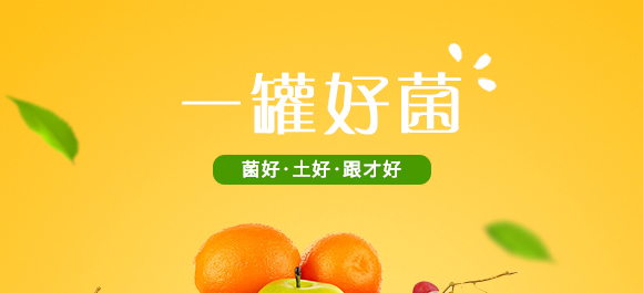 河南騰豐農(nóng)業(yè)科技有限公司2_01