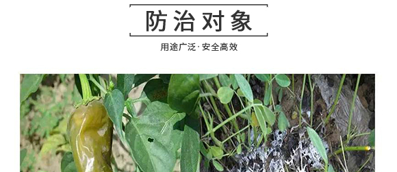 河南騰豐農(nóng)業(yè)科技有限公司2_10